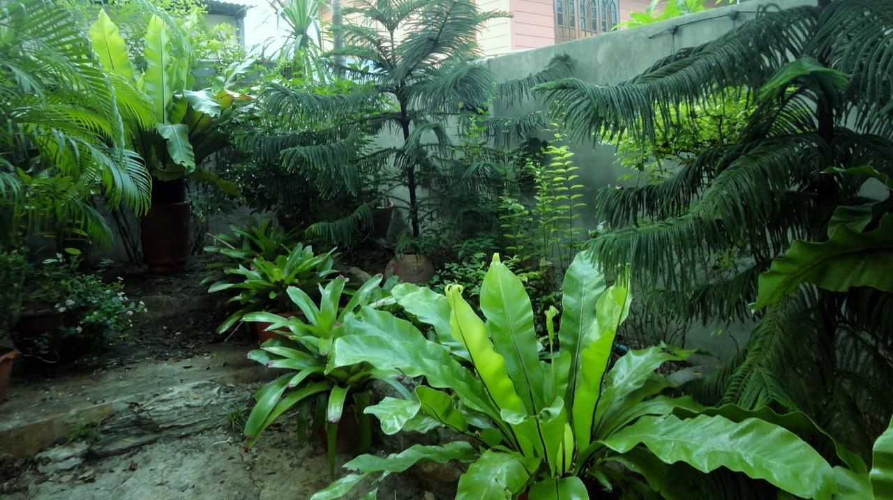 Moradok Thai Guesthouse Phra Nakhon Si Ayutthaya Dış mekan fotoğraf